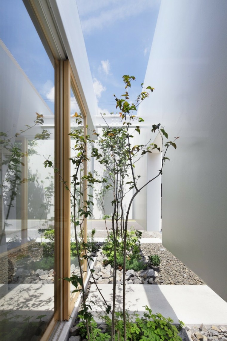 jardin-seco-estrecho-plantas